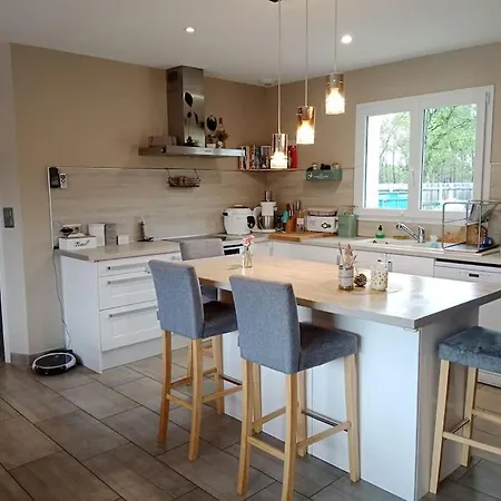 Maison 120 M2, Piscine Chauffee, En Bordure De Foret Mios