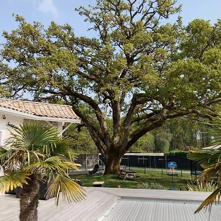 بيت للعطل Maison 120 M2, Piscine Chauffee, En Bordure De Foret