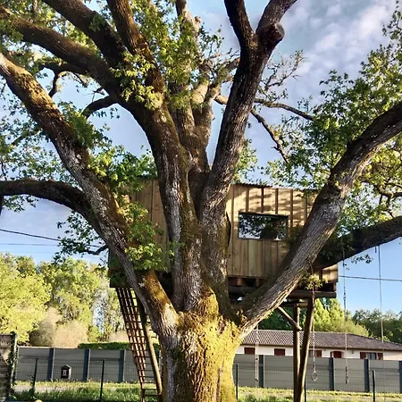 بيت للعطل Maison 120 M2, Piscine Chauffee, En Bordure De Foret